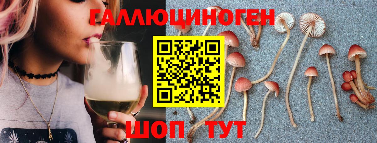 Галлюциногенные грибы MAGIC MUSHROOMS Хасавюрт