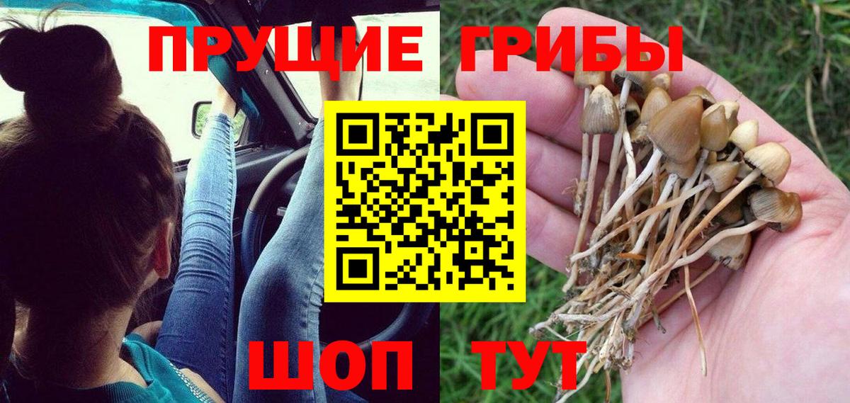 Псилоцибиновые грибы прущие грибы  Вход с VPN  Хасавюрт 